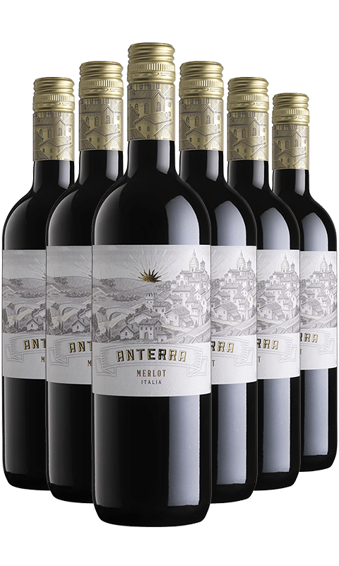 שישייה אנטרה מרלו